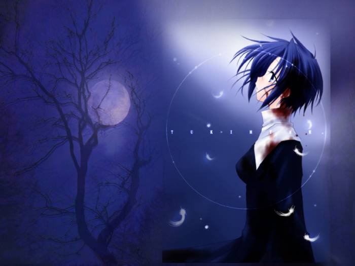 jeune fille qui saige au clair de lune.jpg